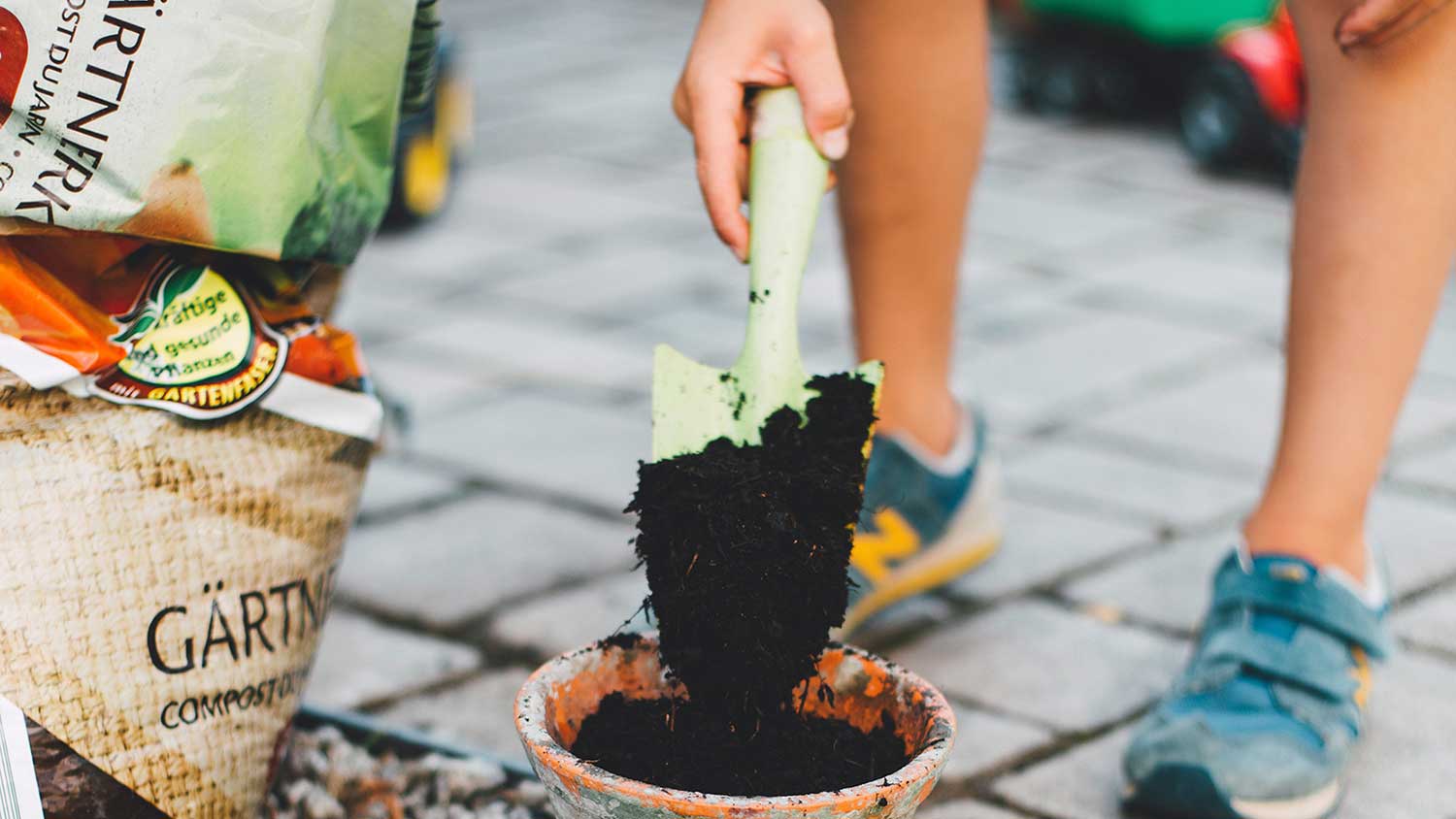 Cultivating the Future